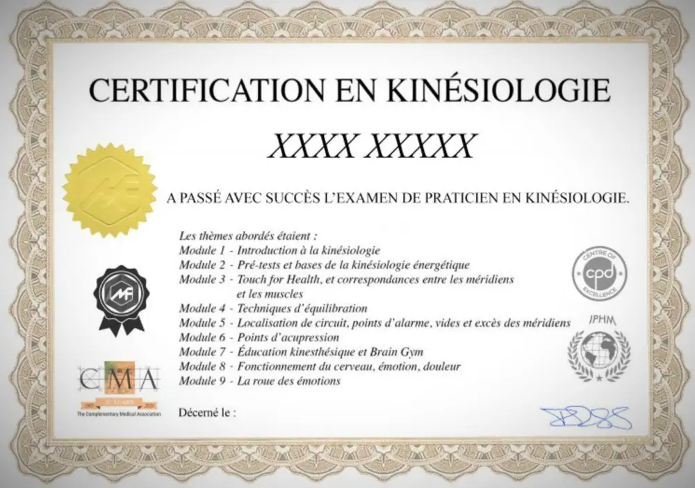 certification kinesiologie